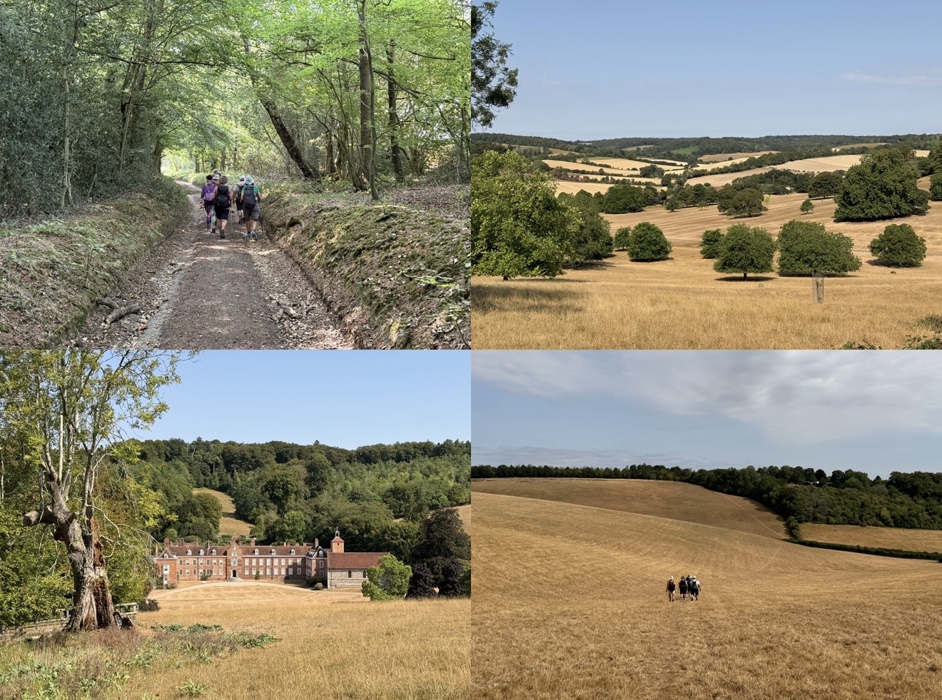 Chilterns2026